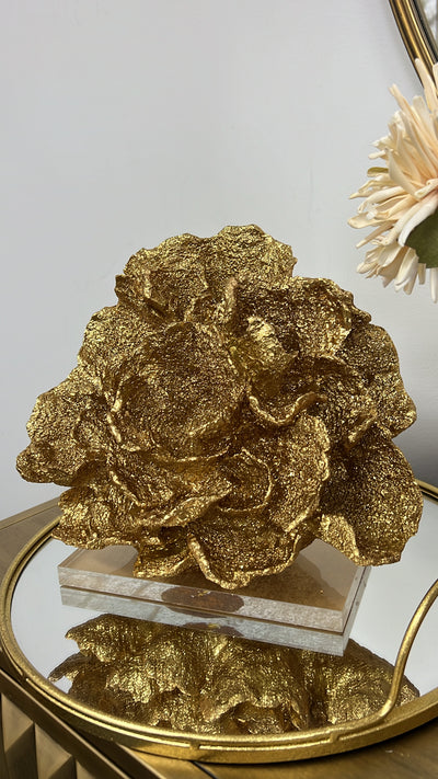 Gold coral stand