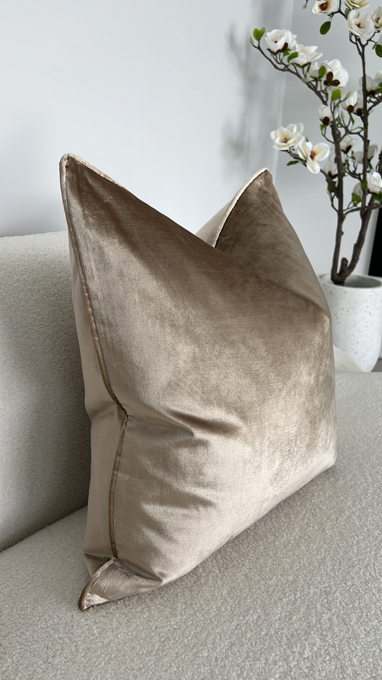 De-luxe latte velvet cushion