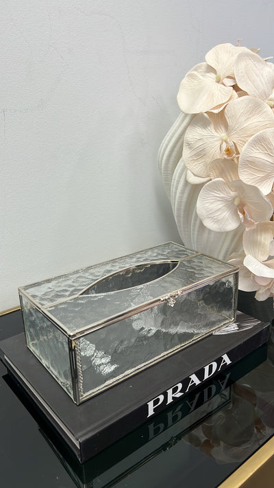 Naya silver tissue box