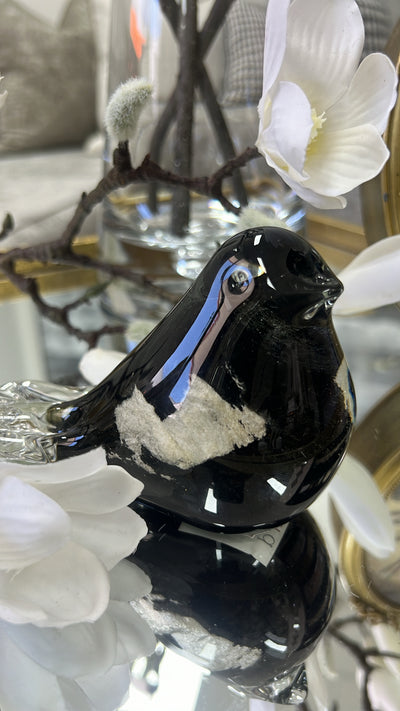 Colless birdy black and gold - Luscious Homewares