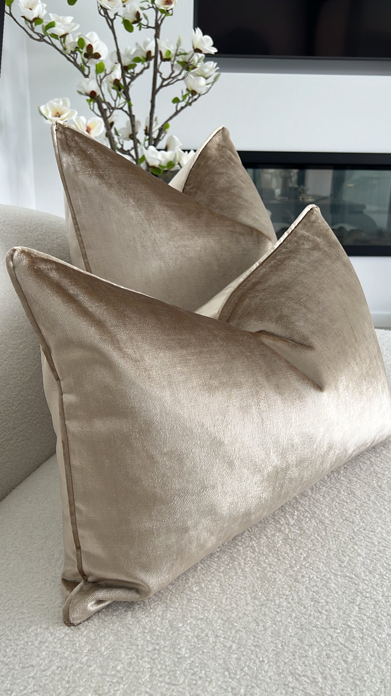 De-luxe latte velvet cushion