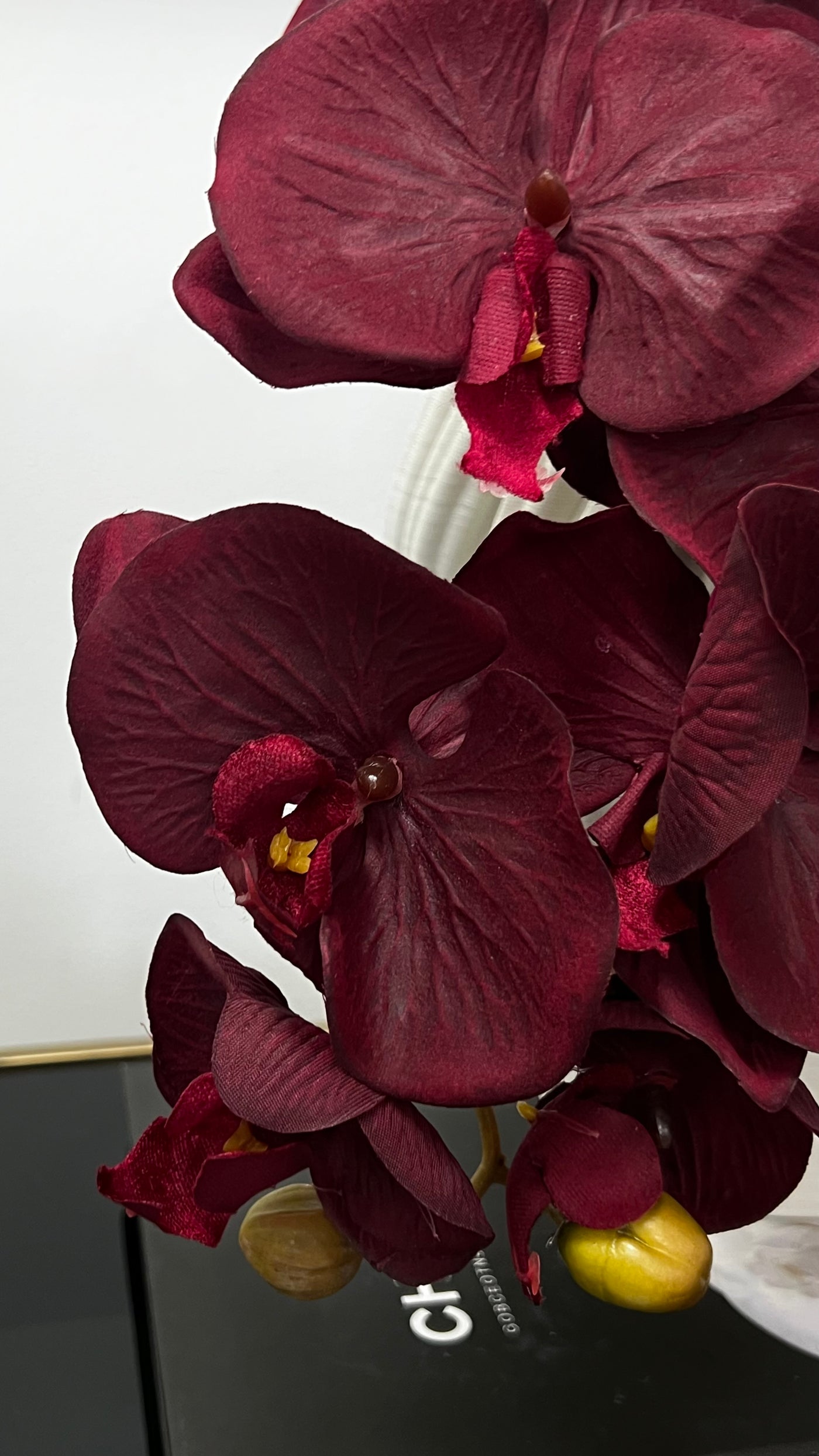 large burgundy orchid flower stem