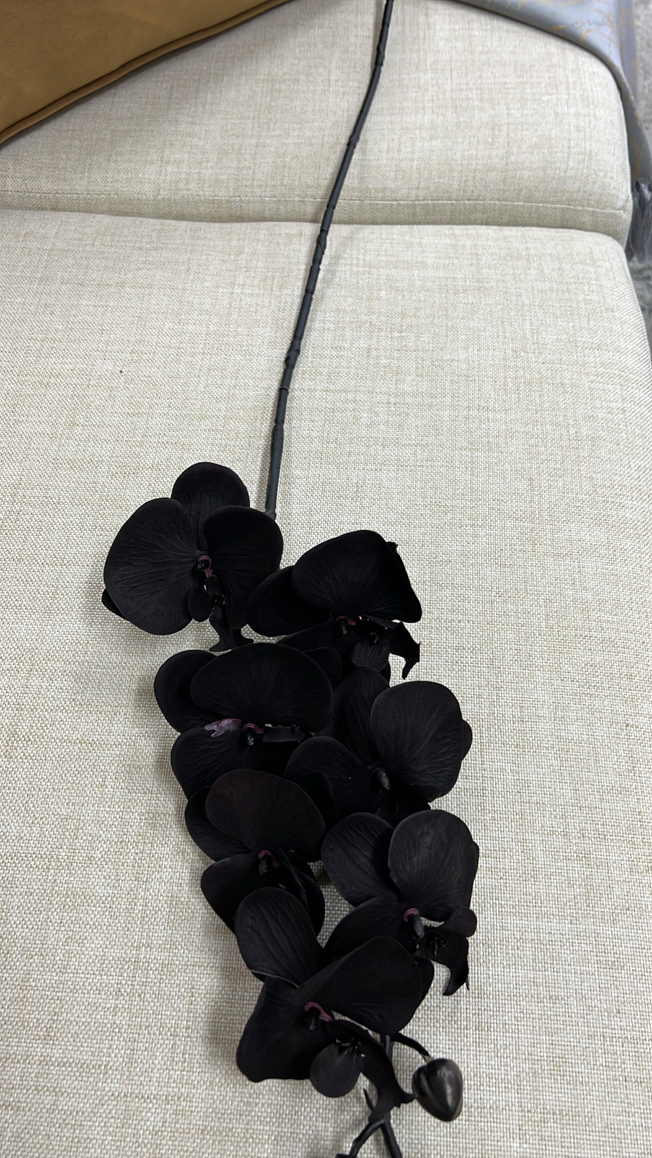 Black orchid flower - Luscious Homewares