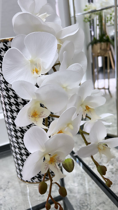 White orchid flower - Luscious Homewares