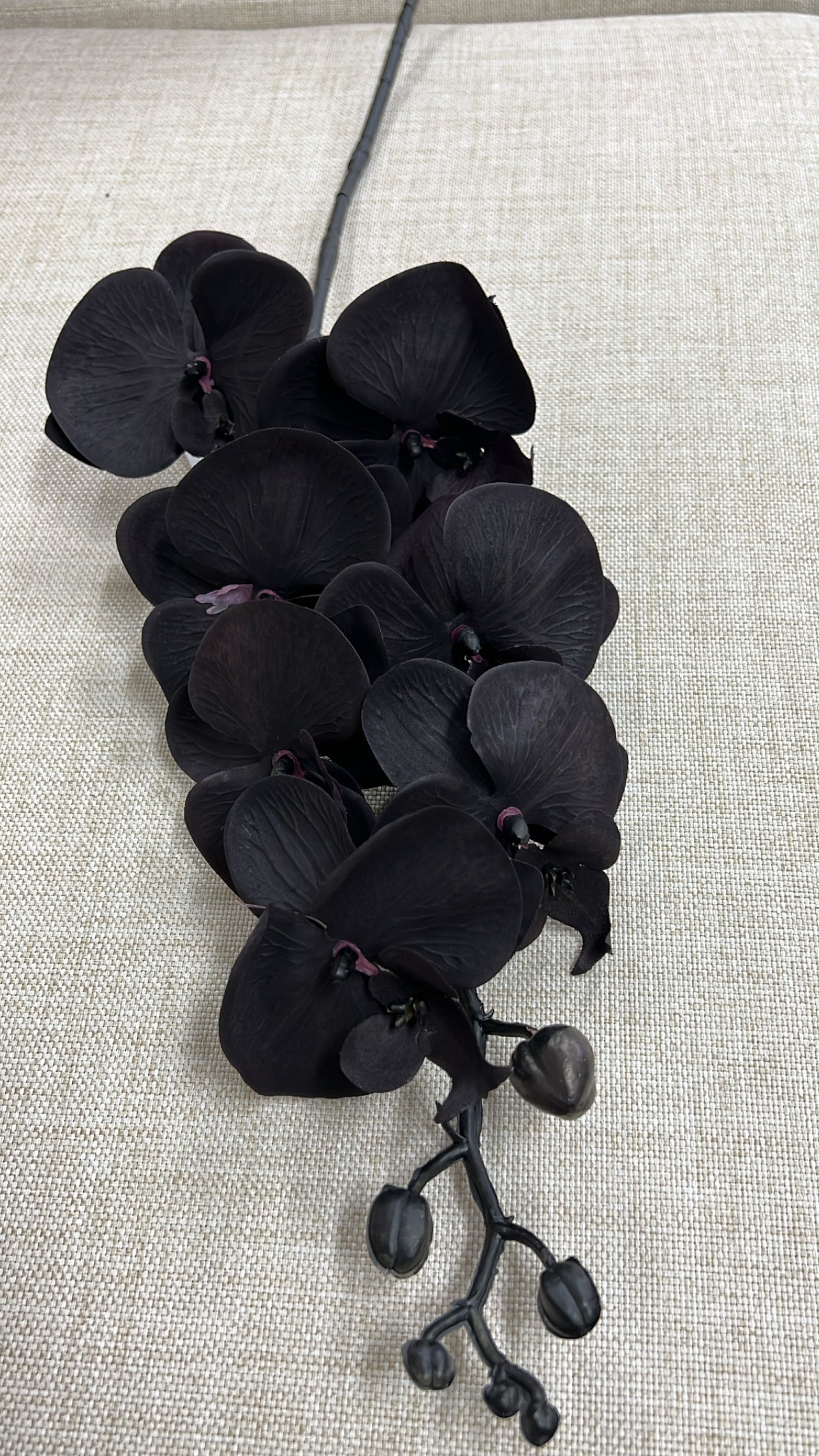 Black orchid flower - Luscious Homewares